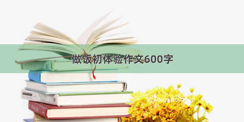 做饭初体验作文600字