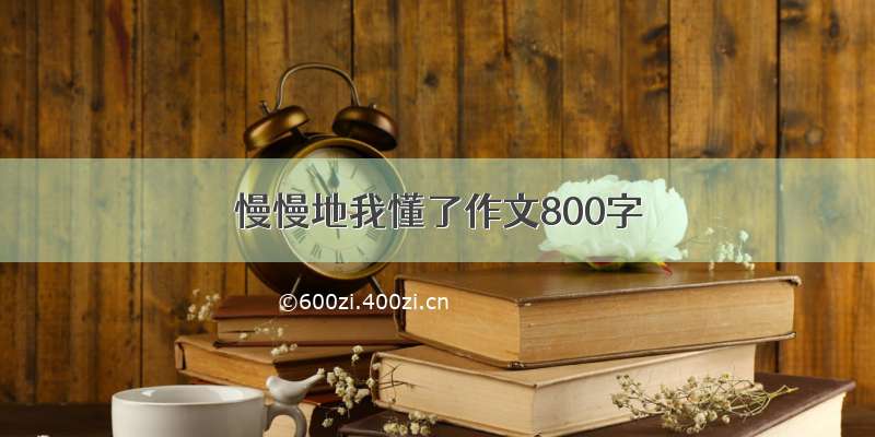 慢慢地我懂了作文800字