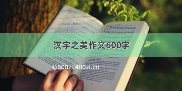 汉字之美作文600字