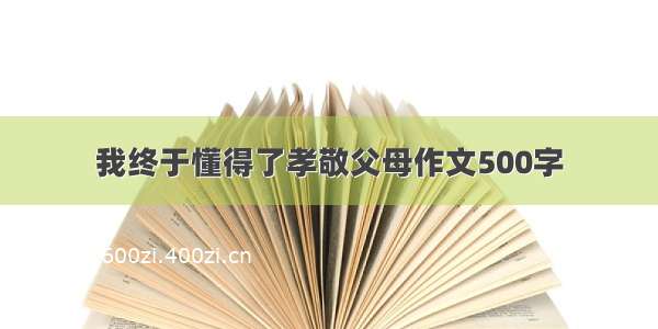 我终于懂得了孝敬父母作文500字