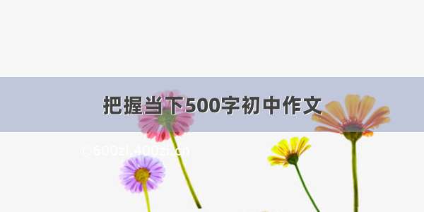 把握当下500字初中作文