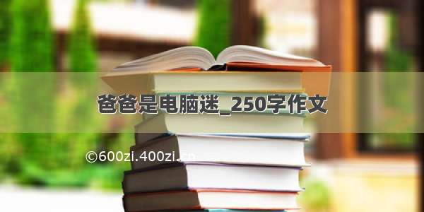 爸爸是电脑迷_250字作文