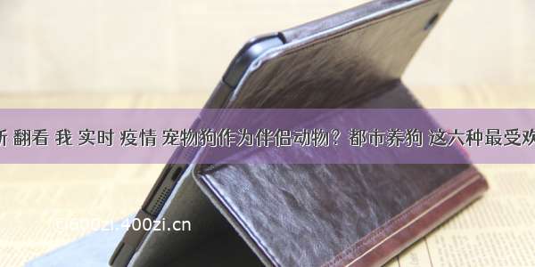 刷新 翻看 我 实时 疫情 宠物狗作为伴侣动物？都市养狗 这六种最受欢迎！