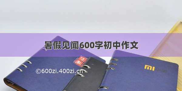 暑假见闻600字初中作文