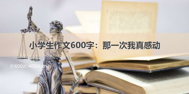 小学生作文600字：那一次我真感动