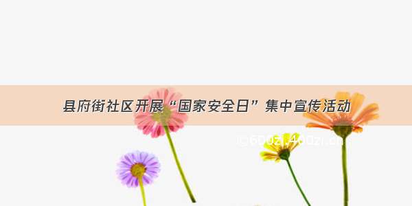 县府街社区开展“国家安全日”集中宣传活动