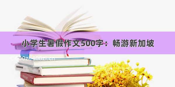 小学生暑假作文500字：畅游新加坡