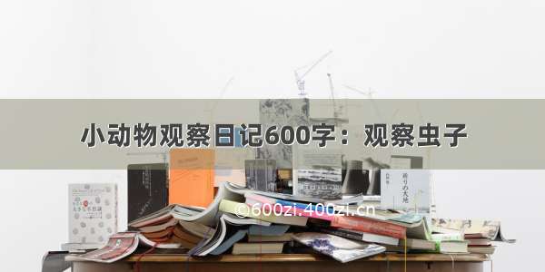 小动物观察日记600字：观察虫子