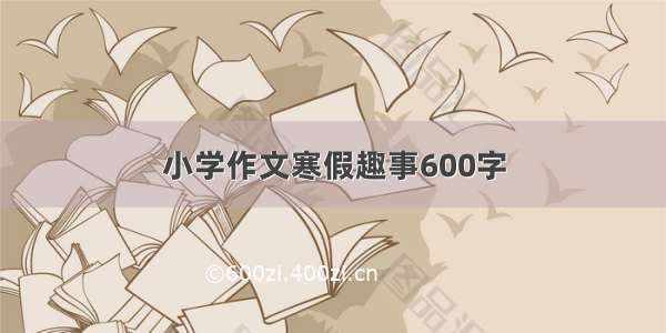 小学作文寒假趣事600字