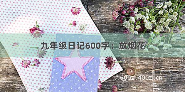 九年级日记600字：放烟花