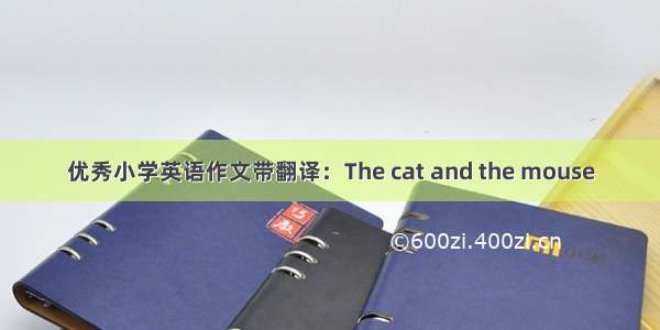 优秀小学英语作文带翻译：The cat and the mouse