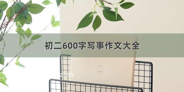 初二600字写事作文大全