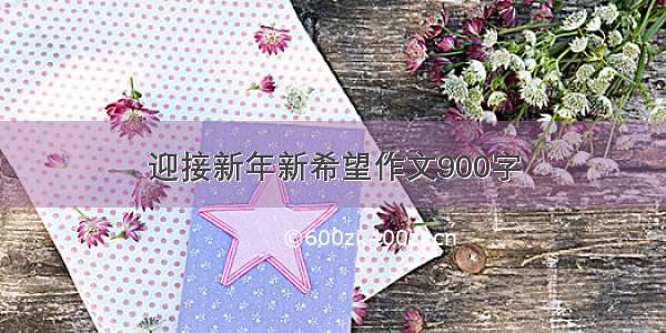 迎接新年新希望作文900字