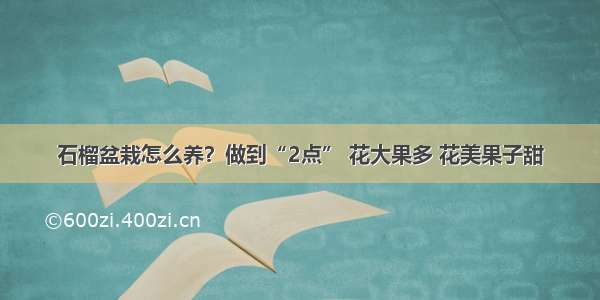 石榴盆栽怎么养？做到“2点” 花大果多 花美果子甜