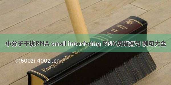 小分子干扰RNA small interfering RNA英语短句 例句大全