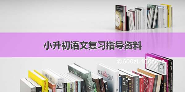 小升初语文复习指导资料