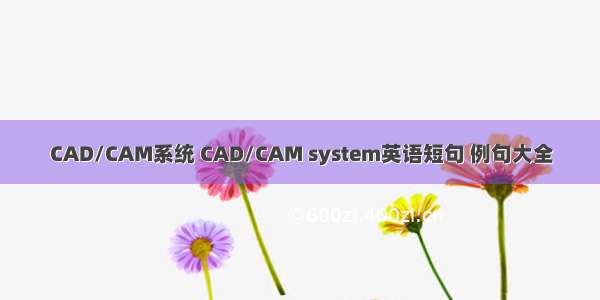 CAD/CAM系统 CAD/CAM system英语短句 例句大全