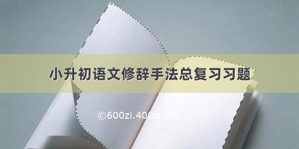 小升初语文修辞手法总复习习题