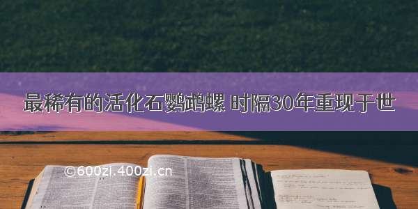 最稀有的活化石鹦鹉螺 时隔30年重现于世