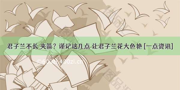 君子兰不长 夹箭？谨记这几点 让君子兰花大色艳 [一点资讯]