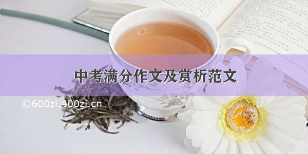 中考满分作文及赏析范文