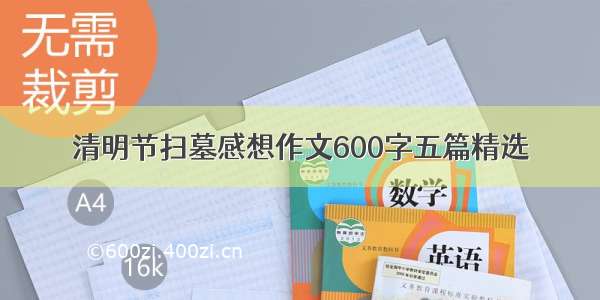 清明节扫墓感想作文600字五篇精选