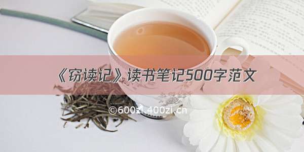 《窃读记》读书笔记500字范文