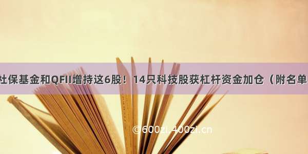 社保基金和QFII增持这6股！14只科技股获杠杆资金加仓（附名单）