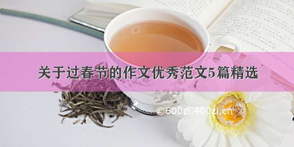 关于过春节的作文优秀范文5篇精选