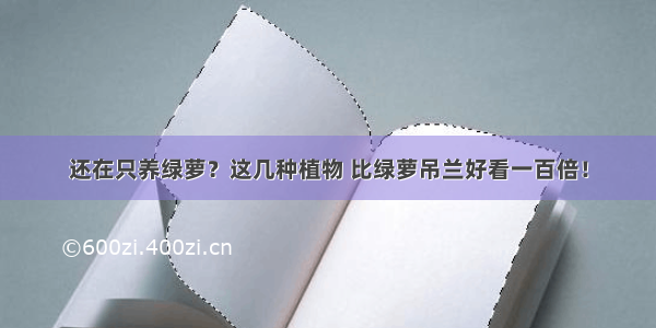 还在只养绿萝？这几种植物 比绿萝吊兰好看一百倍！