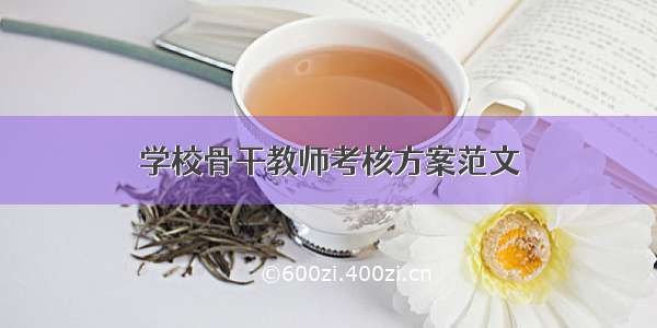 学校骨干教师考核方案范文