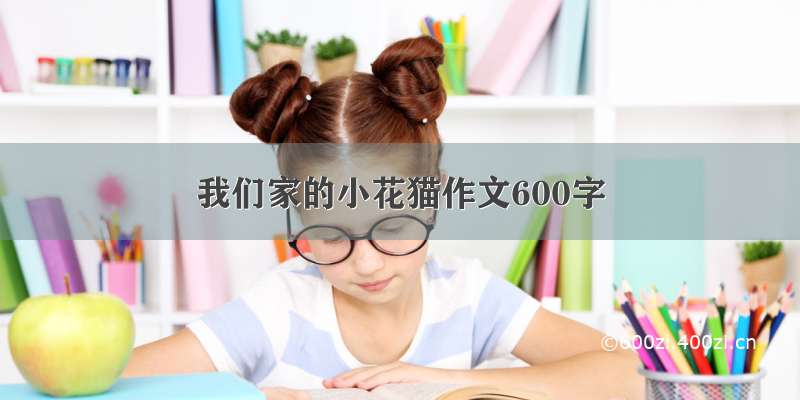 我们家的小花猫作文600字