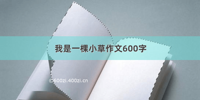 我是一棵小草作文600字