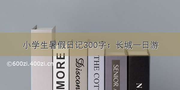 小学生暑假日记300字：长城一日游