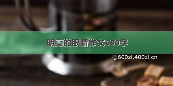 明亮的眼睛作文600字