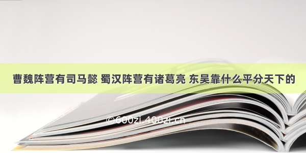 曹魏阵营有司马懿 蜀汉阵营有诸葛亮 东吴靠什么平分天下的