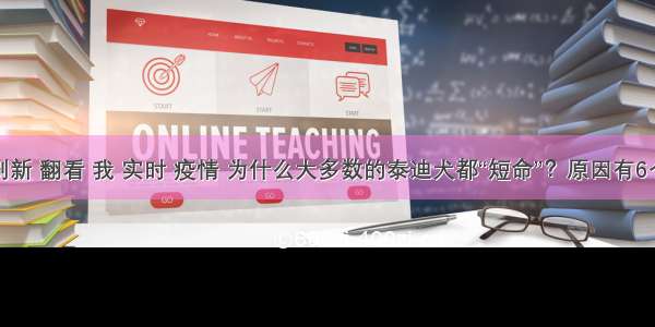 刷新 翻看 我 实时 疫情 为什么大多数的泰迪犬都“短命”？原因有6个