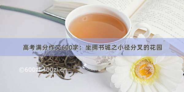 高考满分作文600字：坐拥书城之小径分叉的花园