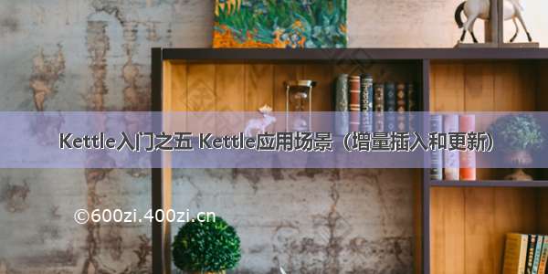 Kettle入门之五 Kettle应用场景（增量插入和更新）