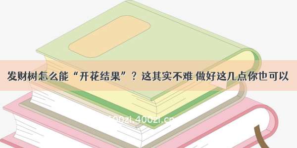 发财树怎么能“开花结果”？这其实不难 做好这几点你也可以