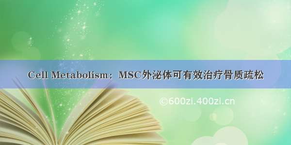 Cell Metabolism：MSC外泌体可有效治疗骨质疏松