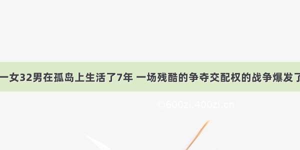 一女32男在孤岛上生活了7年 一场残酷的争夺交配权的战争爆发了