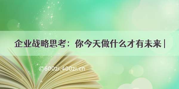 企业战略思考：你今天做什么才有未来 |