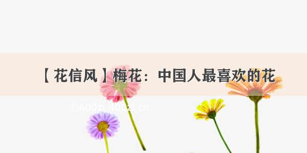 【花信风】梅花：中国人最喜欢的花