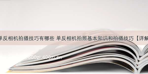 单反相机拍摄技巧有哪些 单反相机拍照基本知识和拍摄技巧【详解】