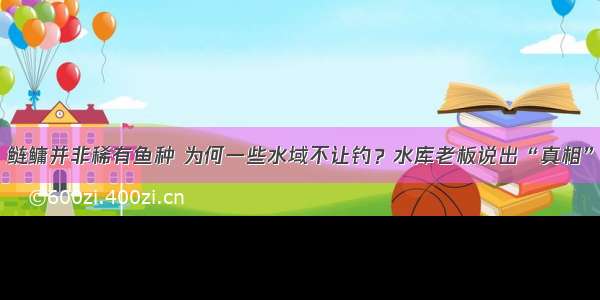 鲢鳙并非稀有鱼种 为何一些水域不让钓？水库老板说出“真相”