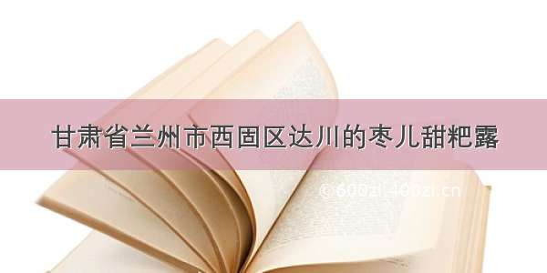 甘肃省兰州市西固区达川的枣儿甜粑露