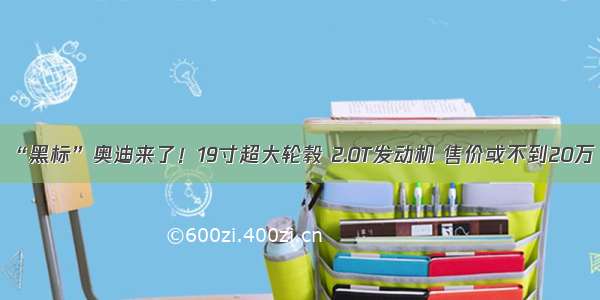 “黑标”奥迪来了！19寸超大轮毂 2.0T发动机 售价或不到20万