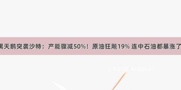 黑天鹅突袭沙特：产能骤减50%！原油狂飚19% 连中石油都暴涨了！