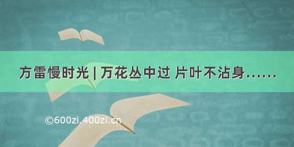 方雷慢时光 | 万花丛中过 片叶不沾身……